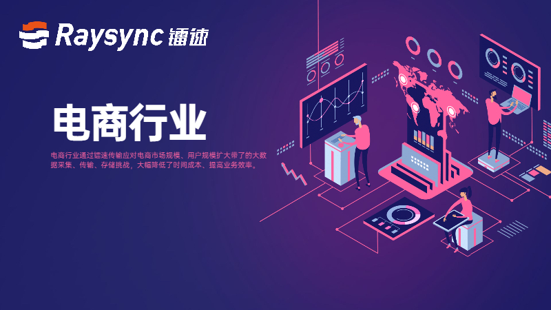 电商行业-镭速传输客户服务案例分析与解决方案
