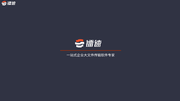 服务器传输慢,数据传输,镭速