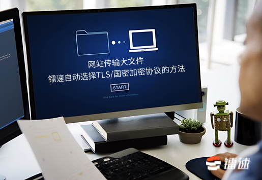 网站传输大文件之镭速自动选择TLS/国密加密协议的方法